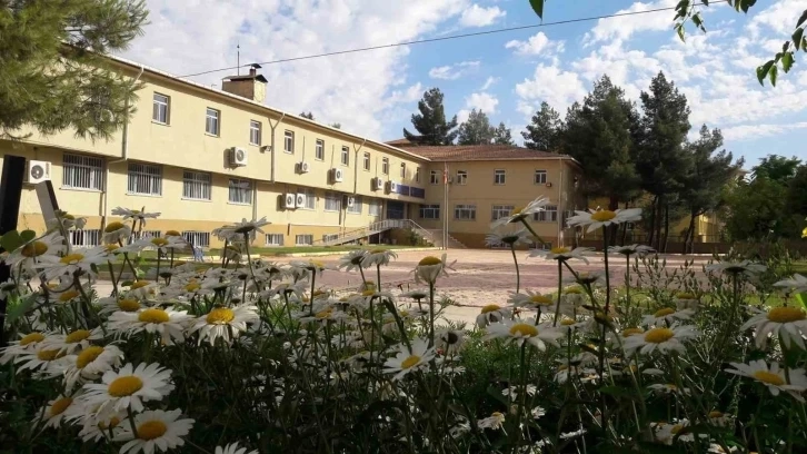 Şırnak Üniversitesi İdil Ziraat Fakültesini merkeze taşıyor