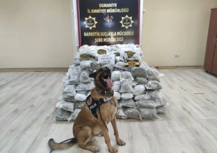 Osmaniye’de durdurulan tırda 145 kilo 450 gram skunk ele geçirildi