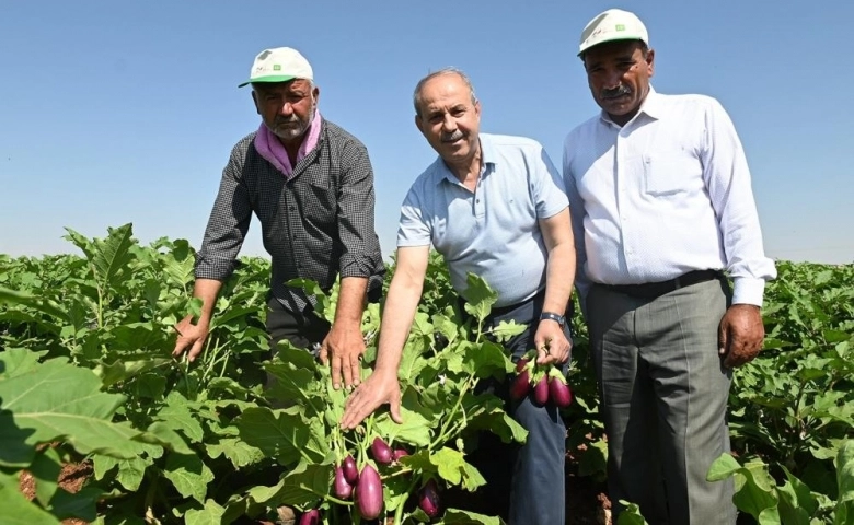 Oğuzeli Belediyesin'den  62 aileye sürdürülebilir geçim kaynağı