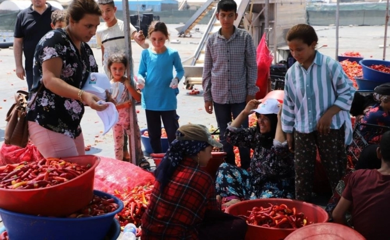 Aşırı sıcaklar ve acı birleşince uzmanlardan uyarı geldi