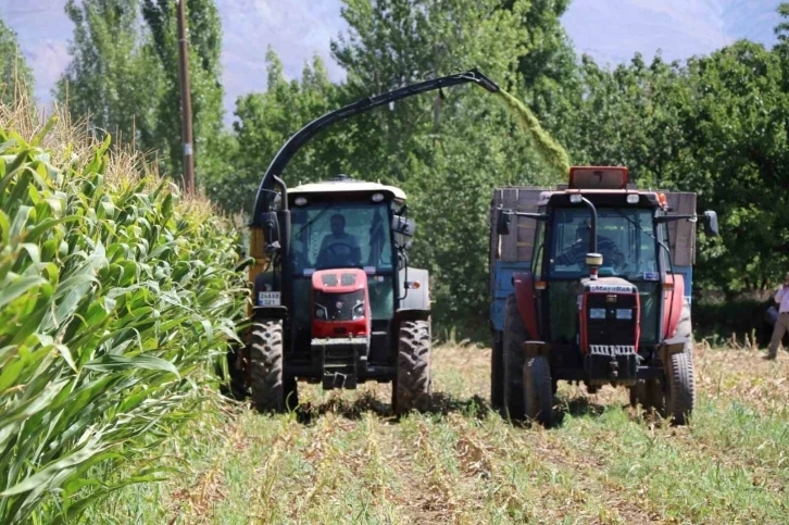 Erzincan da Silajlık mısır hasadı başladı