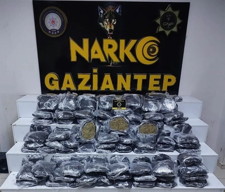 Gaziantep'te 51 kilo skunk ele geçirildi