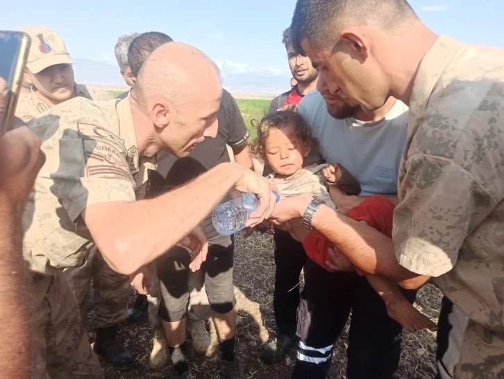 Küçük çocuk biber tarlasında uyurken bulundu