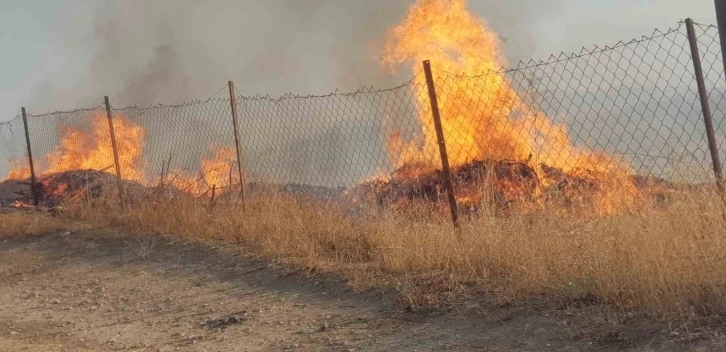 Siirt’te fıstık ve üzüm bahçesinde çıkan yangın söndürüldü