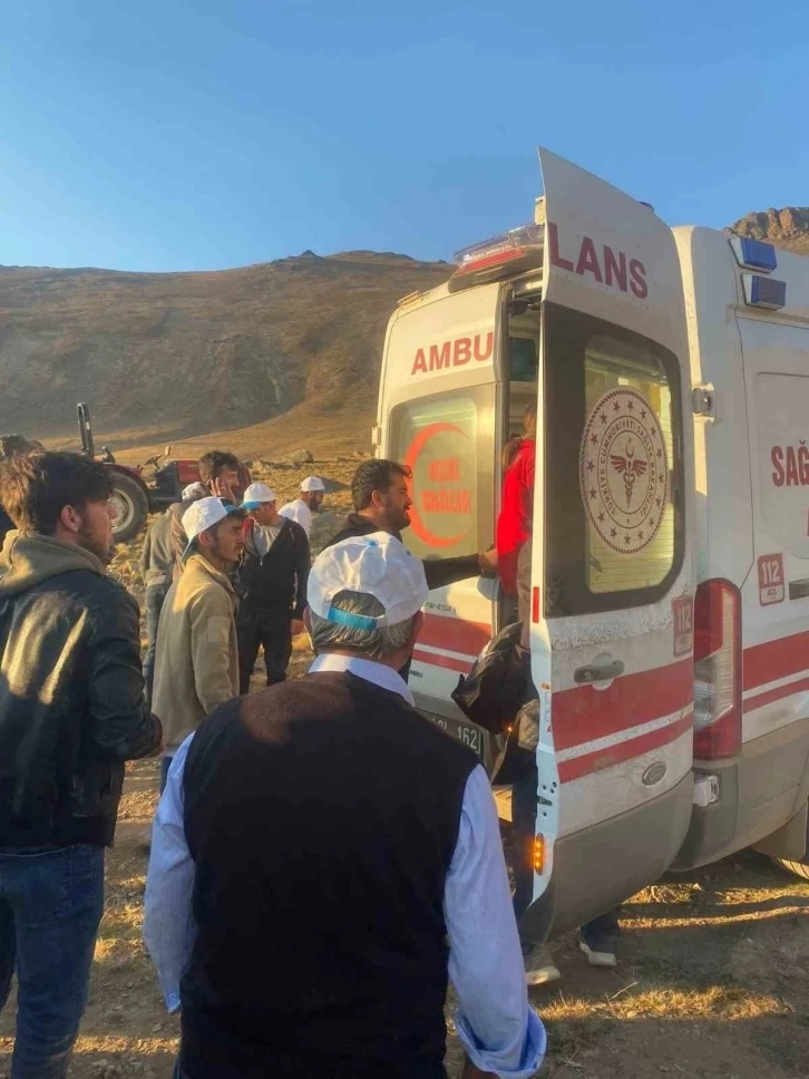 Giresun'da şehitler anısına vefa yürüyüşü yapan gruba ayı saldırdı: 1 kişi yaralandı