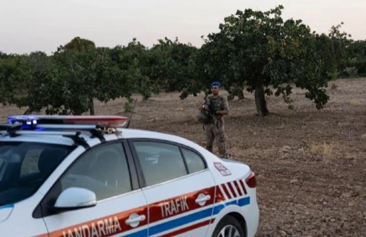 Gaziantep'te “yeşil altın” denetimlerinde 108 tutuklama