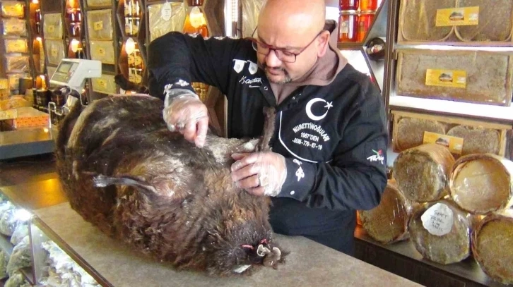 Asırlık tuluk peyniri yoğun ilgi görüyor