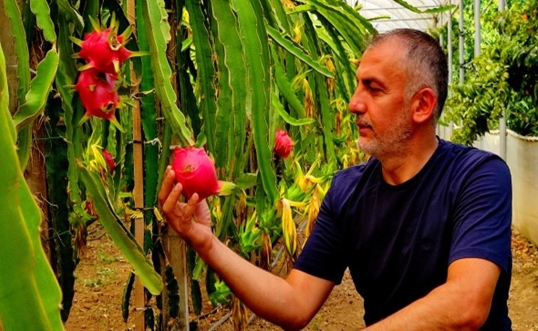 'Batarsın' diyenleri dinlemedi şimdi servet kazanıyor