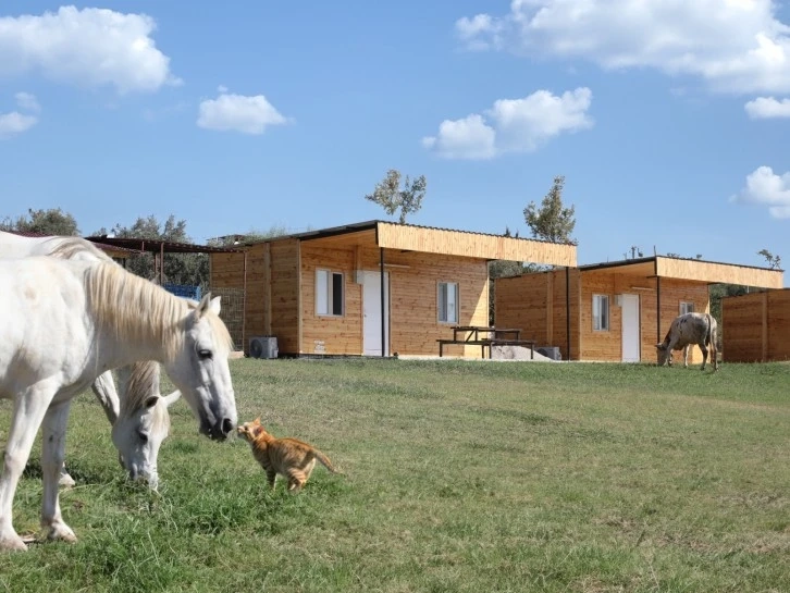 Kıskandıran proje; Mezitli Mutlu Yaşam Köyü konaklama kapasitesini arttırdı