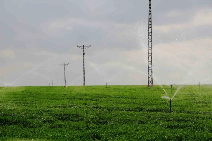 Enerji şirketi, elektrik faturalarını ödemeyen aboneleri uyardı