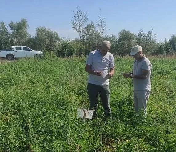 Tarım Müdürlüğünden, Tatvanlı çiftçilere “Feromon Tuzağı” desteği