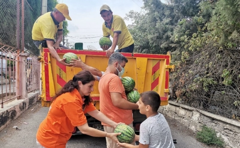 Tarsus Belediyesi, halka 6 ton karpuz dağıttı