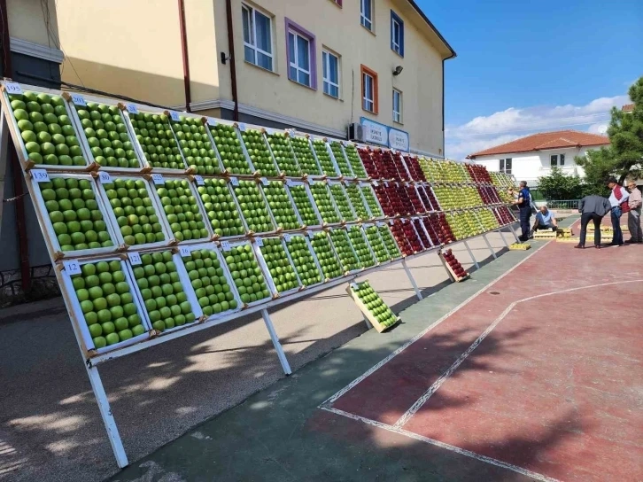 Kocaeli nde güzel elma ve armutlar görücüye çıktı