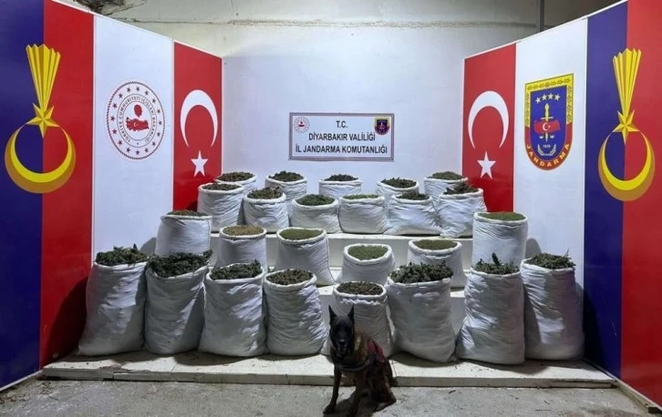 Diyarbakır'da uyuşturucu operasyonu: 603 kilo esrar, 640 bin esrar bitkisi ele geçirildi