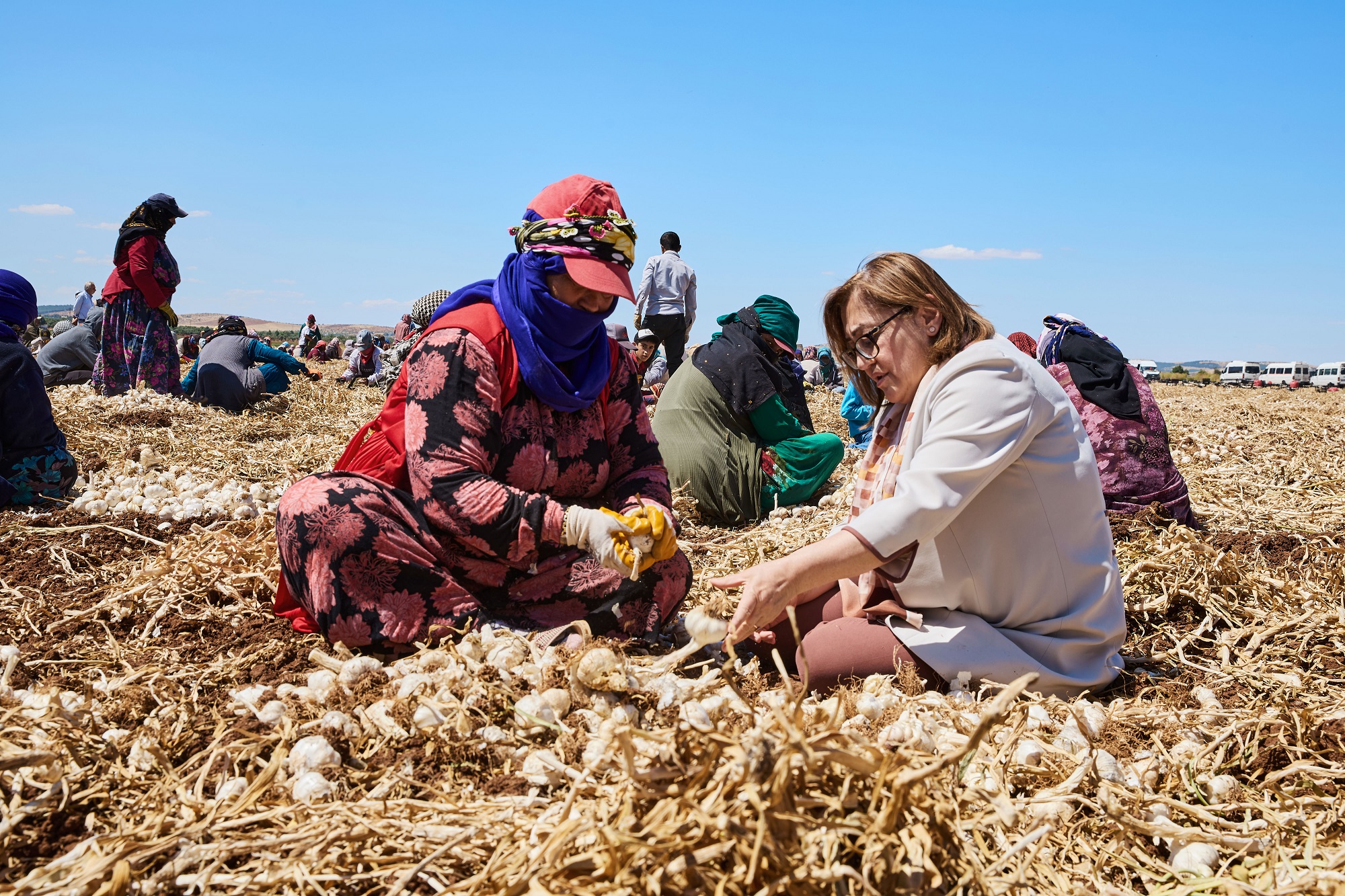 gaziantep-buyuksehir-ile-ciftcinin-yuzu-guluyor-tarima-destek-artarak-suruyor-5.jpg