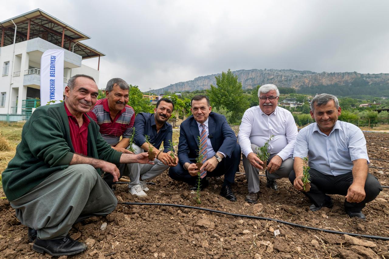 yenisehirde-katma-degerli-tarim-donemi-1.jpeg